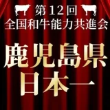 鹿児島県 志布志市ふるさと納税　黒毛和牛　＝南国の太陽と清らかな水が育んだ、きめ細やかな肉質。食通を唸らせる上質な味わいをご家庭で＝